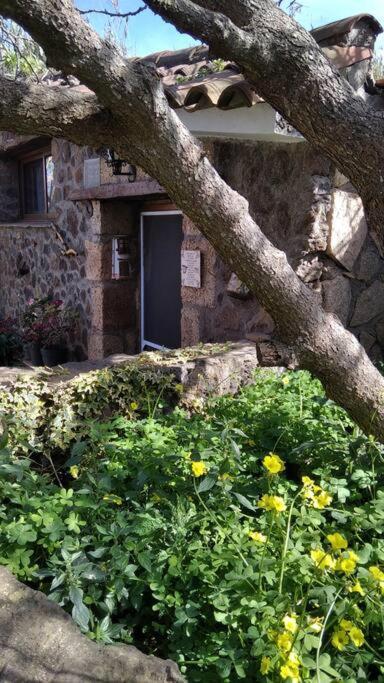 Rural House To Take A Break, La Serreria 25 - Private Garden Tacoronte Eksteriør bilde