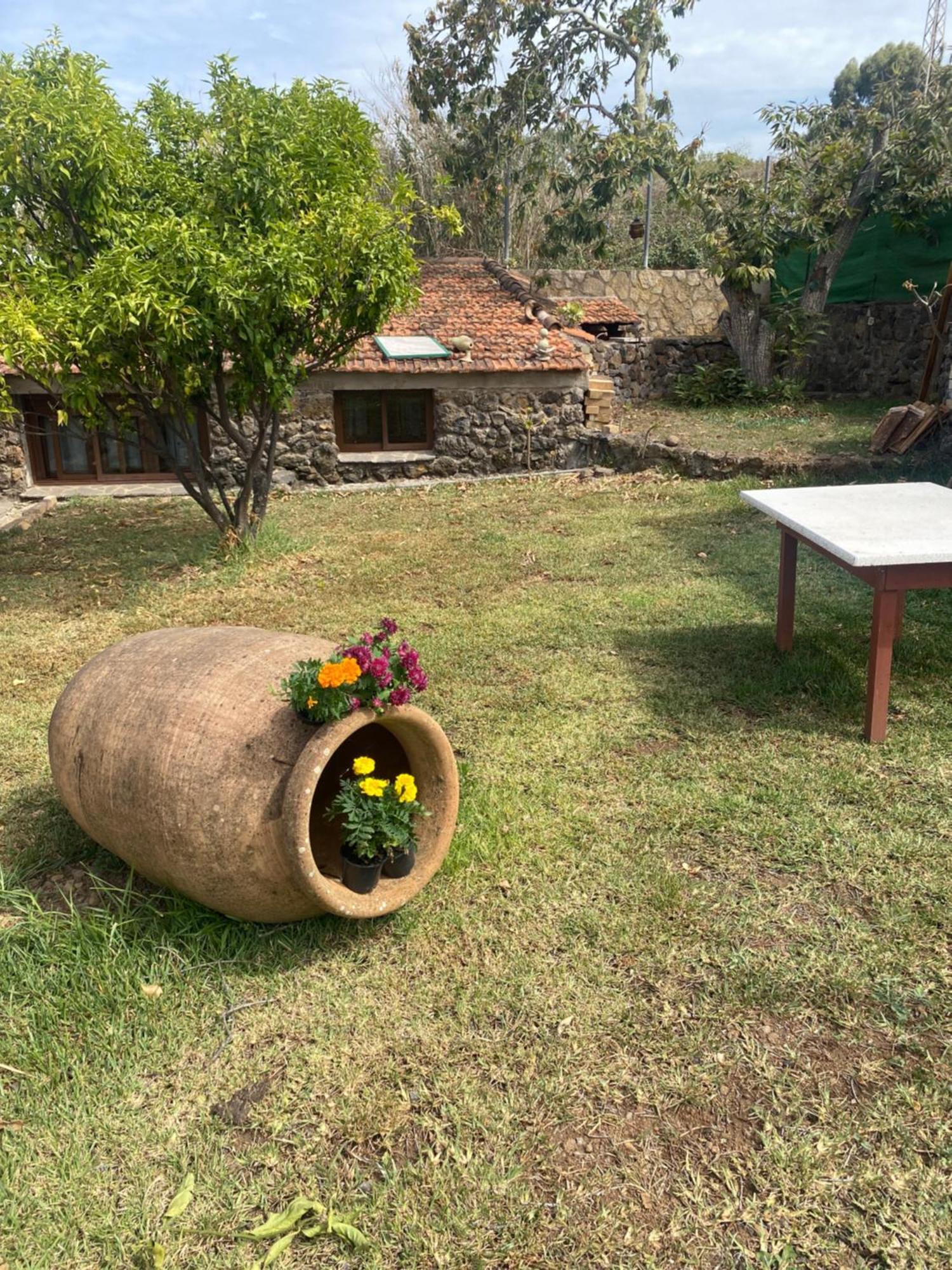 Rural House To Take A Break, La Serreria 25 - Private Garden Tacoronte Eksteriør bilde